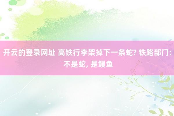 开云的登录网址 高铁行李架掉下一条蛇? 铁路部门: 不是蛇， 是鳗鱼