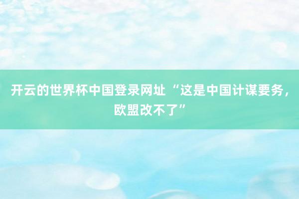 开云的世界杯中国登录网址 “这是中国计谋要务，欧盟改不了”