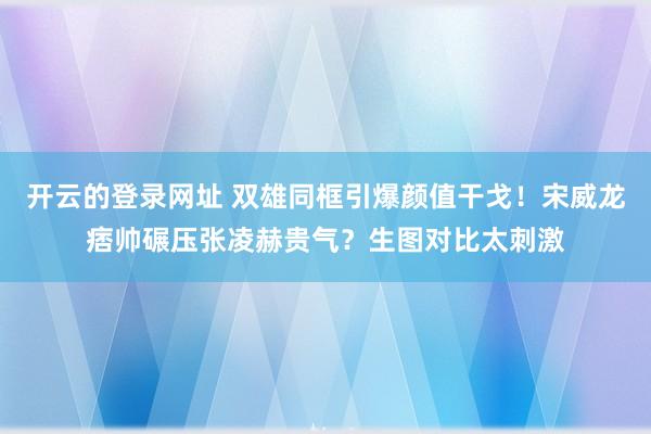 开云的登录网址 双雄同框引爆颜值干戈！宋威龙痞帅碾压张凌赫贵气？生图对比太刺激