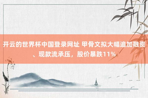 开云的世界杯中国登录网址 甲骨文拟大幅追加融资、现款流承压，股价暴跌11%