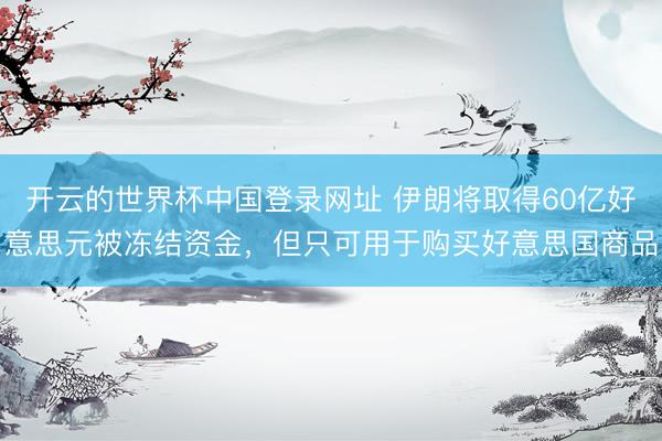 开云的世界杯中国登录网址 伊朗将取得60亿好意思元被冻结资金，但只可用于购买好意思国商品